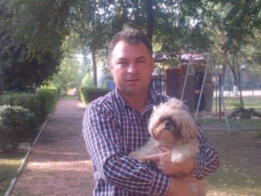 Matei: Voi adopta o hotărâre drastică în privinţa celor care deţin mai mulţi câini decât le permite spaţiul